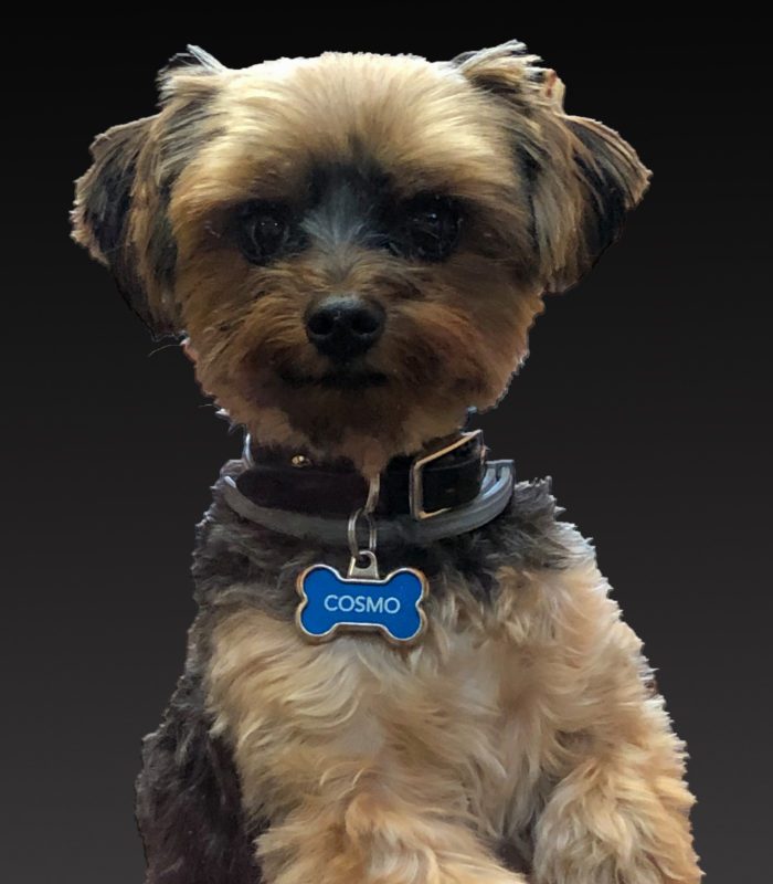 Cosmo Mackoul